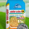 [GOOD USA] SIÊU LÚA 1-2 - Ảnh 4